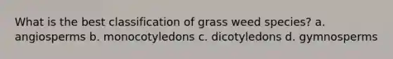 What is the best classification of grass weed species? a. angiosperms b. monocotyledons c. dicotyledons d. gymnosperms