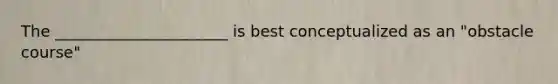 The ______________________ is best conceptualized as an "obstacle course"