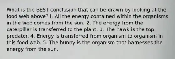 What is the BEST conclusion that can be drawn by looking at the food web above? I. All the energy contained within the organisms in the web comes from the sun. 2. The energy from the caterpillar is transferred to the plant. 3. The hawk is the top predator. 4. Energy is transferred from organism to organism in this food web. 5. The bunny is the organism that harnesses the energy from the sun.