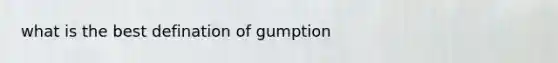 what is the best defination of gumption