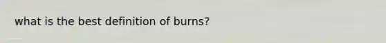 what is the best definition of burns?