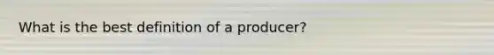 What is the best definition of a producer?