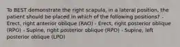 To BEST demonstrate the right scapula, in a lateral position, the patient should be placed in which of the following positions? -Erect, right anterior oblique (RAO) - Erect, right posterior oblique (RPO) - Supine, right posterior oblique (RPO) - Supine, left posterior oblique (LPO)