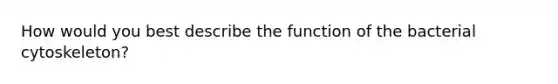 How would you best describe the function of the bacterial cytoskeleton?