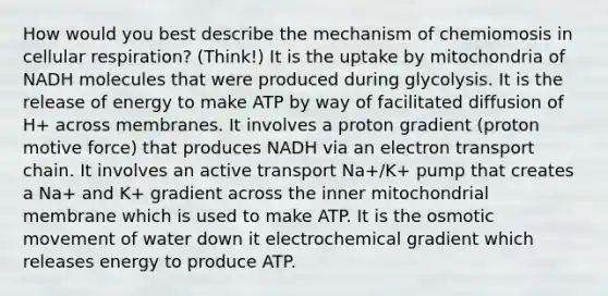 How would you best describe the mechanism of chemiomosis in cellular respiration? (Think!) It is the uptake by mitochondria of NADH molecules that were produced during glycolysis. It is the release of energy to make ATP by way of facilitated diffusion of H+ across membranes. It involves a proton gradient (proton motive force) that produces NADH via an electron transport chain. It involves an active transport Na+/K+ pump that creates a Na+ and K+ gradient across the inner mitochondrial membrane which is used to make ATP. It is the osmotic movement of water down it electrochemical gradient which releases energy to produce ATP.