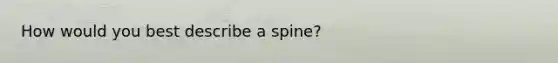 How would you best describe a spine?