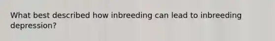 What best described how inbreeding can lead to inbreeding depression?