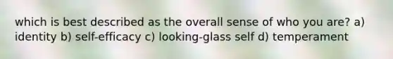 which is best described as the overall sense of who you are? a) identity b) self-efficacy c) looking-glass self d) temperament