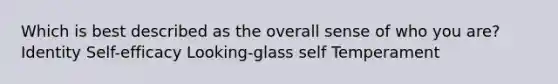 Which is best described as the overall sense of who you are? Identity Self-efficacy Looking-glass self Temperament