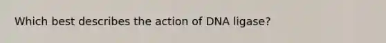 Which best describes the action of DNA ligase?