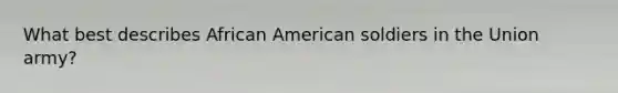 What best describes African American soldiers in the Union army?