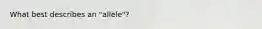 What best describes an "allele"?