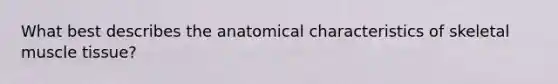 What best describes the anatomical characteristics of skeletal muscle tissue?