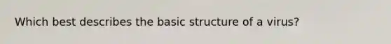 Which best describes the basic structure of a virus?