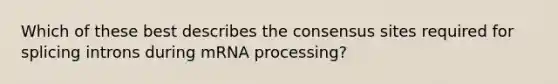 Which of these best describes the consensus sites required for splicing introns during mRNA processing?