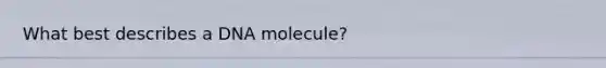 What best describes a DNA molecule?