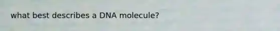 what best describes a DNA molecule?