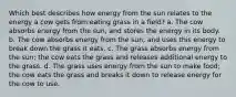 Which best describes how energy from the sun relates to the energy a cow gets from eating grass in a field? a. The cow absorbs energy from the sun, and stores the energy in its body. b. The cow absorbs energy from the sun, and uses this energy to break down the grass it eats. c. The grass absorbs energy from the sun; the cow eats the grass and releases additional energy to the grass. d. The grass uses energy from the sun to make food; the cow eats the grass and breaks it down to release energy for the cow to use.