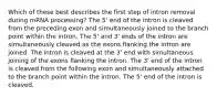 Which of these best describes the first step of intron removal during mRNA processing? The 5' end of the intron is cleaved from the preceding exon and simultaneously joined to the branch point within the intron. The 5' and 3' ends of the intron are simultaneously cleaved as the exons flanking the intron are joined. The intron is cleaved at the 3' end with simultaneous joining of the exons flanking the intron. The 3' end of the intron is cleaved from the following exon and simultaneously attached to the branch point within the intron. The 5' end of the intron is cleaved.