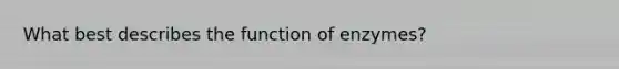 What best describes the function of enzymes?