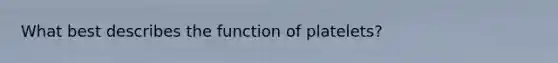 What best describes the function of platelets?