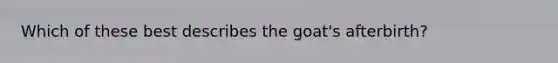 Which of these best describes the goat's afterbirth?