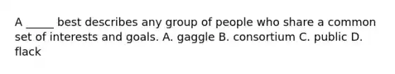 A _____ best describes any group of people who share a common set of interests and goals. A. gaggle B. consortium C. public D. flack