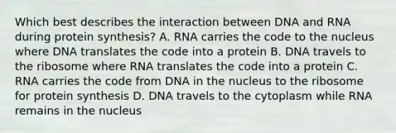 Which best describes the interaction between DNA and RNA during protein synthesis? A. RNA carries the code to the nucleus where DNA translates the code into a protein B. DNA travels to the ribosome where RNA translates the code into a protein C. RNA carries the code from DNA in the nucleus to the ribosome for protein synthesis D. DNA travels to the cytoplasm while RNA remains in the nucleus