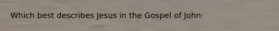 Which best describes Jesus in the Gospel of John: