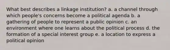 What best describes a linkage institution? a. a channel through which people's concerns become a political agenda b. a gathering of people to represent a public opinion c. an environment where one learns about the political process d. the formation of a special interest group e. a location to express a political opinion