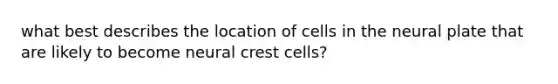 what best describes the location of cells in the neural plate that are likely to become neural crest cells?