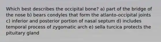 Which best describes the occipital bone? a) part of the bridge of the nose b) bears condyles that form the atlanto-occipital joints c) inferior and posterior portion of nasal septum d) includes temporal process of zygomatic arch e) sella turcica protects the pituitary gland