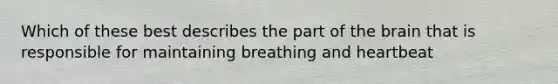 Which of these best describes the part of the brain that is responsible for maintaining breathing and heartbeat