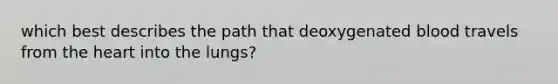 which best describes the path that deoxygenated blood travels from the heart into the lungs?