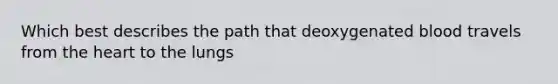 Which best describes the path that deoxygenated blood travels from <a href='https://www.questionai.com/knowledge/kya8ocqc6o-the-heart' class='anchor-knowledge'>the heart</a> to the lungs