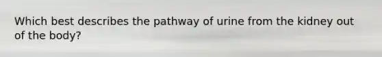 Which best describes the pathway of urine from the kidney out of the body?