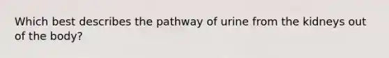 Which best describes the pathway of urine from the kidneys out of the body?