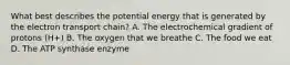 What best describes the potential energy that is generated by the electron transport chain? A. The electrochemical gradient of protons (H+) B. The oxygen that we breathe C. The food we eat D. The ATP synthase enzyme