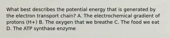 What best describes the potential energy that is generated by <a href='https://www.questionai.com/knowledge/k57oGBr0HP-the-electron-transport-chain' class='anchor-knowledge'>the electron transport chain</a>? A. The electrochemical gradient of protons (H+) B. The oxygen that we breathe C. The food we eat D. The ATP synthase enzyme