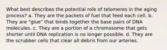 What best describes the potential role of telomeres in the aging process? a. They are the packets of fuel that feed each cell. b. They are "glue" that binds together the base pairs of DNA molecules. c. They are a portion of a chromosome that gets shorter until DNA replication is no longer possible. d. They are the scrubber cells that clear all debris from our arteries.