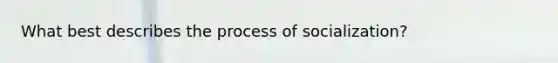 What best describes the process of socialization?