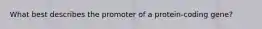 What best describes the promoter of a protein-coding gene?