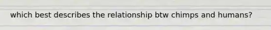 which best describes the relationship btw chimps and humans?