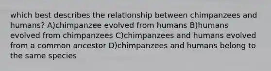 which best describes the relationship between chimpanzees and humans? A)chimpanzee evolved from humans B)humans evolved from chimpanzees C)chimpanzees and humans evolved from a common ancestor D)chimpanzees and humans belong to the same species