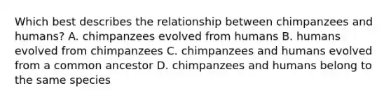 Which best describes the relationship between chimpanzees and humans? A. chimpanzees evolved from humans B. humans evolved from chimpanzees C. chimpanzees and humans evolved from a common ancestor D. chimpanzees and humans belong to the same species