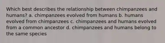 Which best describes the relationship between chimpanzees and humans? a. chimpanzees evolved from humans b. humans evolved from chimpanzees c. chimpanzees and humans evolved from a common ancestor d. chimpanzees and humans belong to the same species