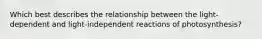 Which best describes the relationship between the light-dependent and light-independent reactions of photosynthesis?