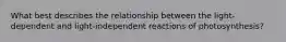 What best describes the relationship between the light-dependent and light-independent reactions of photosynthesis?