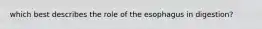 which best describes the role of the esophagus in digestion?