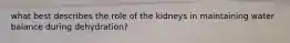 what best describes the role of the kidneys in maintaining water balance during dehydration?